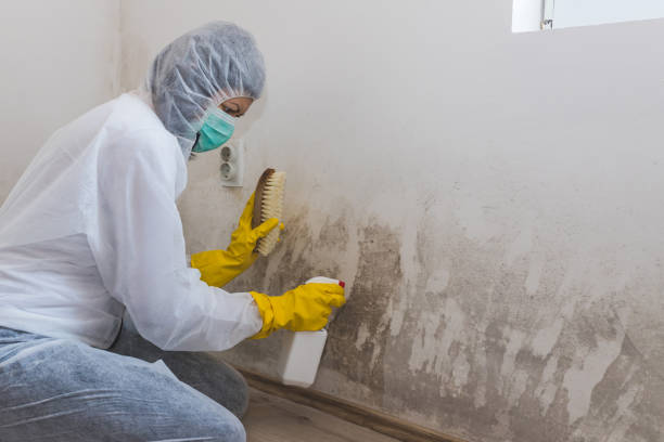 Best Certified Mold Removal  in Wenonah, NJ