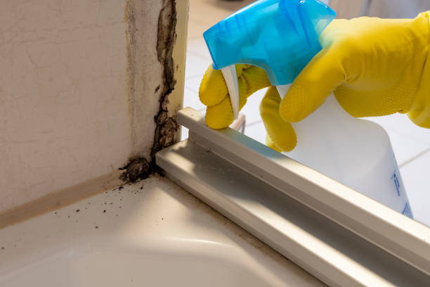 Best Commercial Mold Removal  in Wenonah, NJ