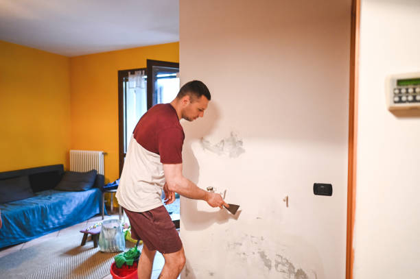 Best Attic Mold Removal  in Wenonah, NJ