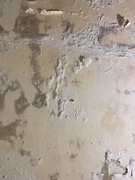 Water Damage Restoration in Wenonah, NJ